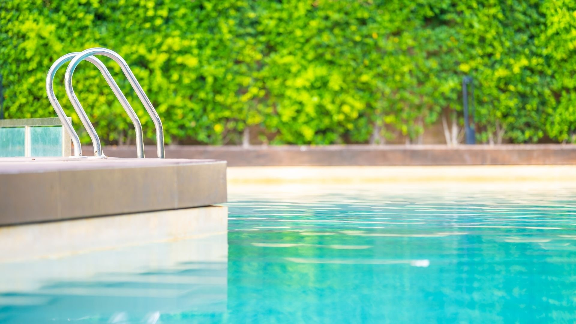 Metal ladder in clear blue swimming pool with green leafy wall background