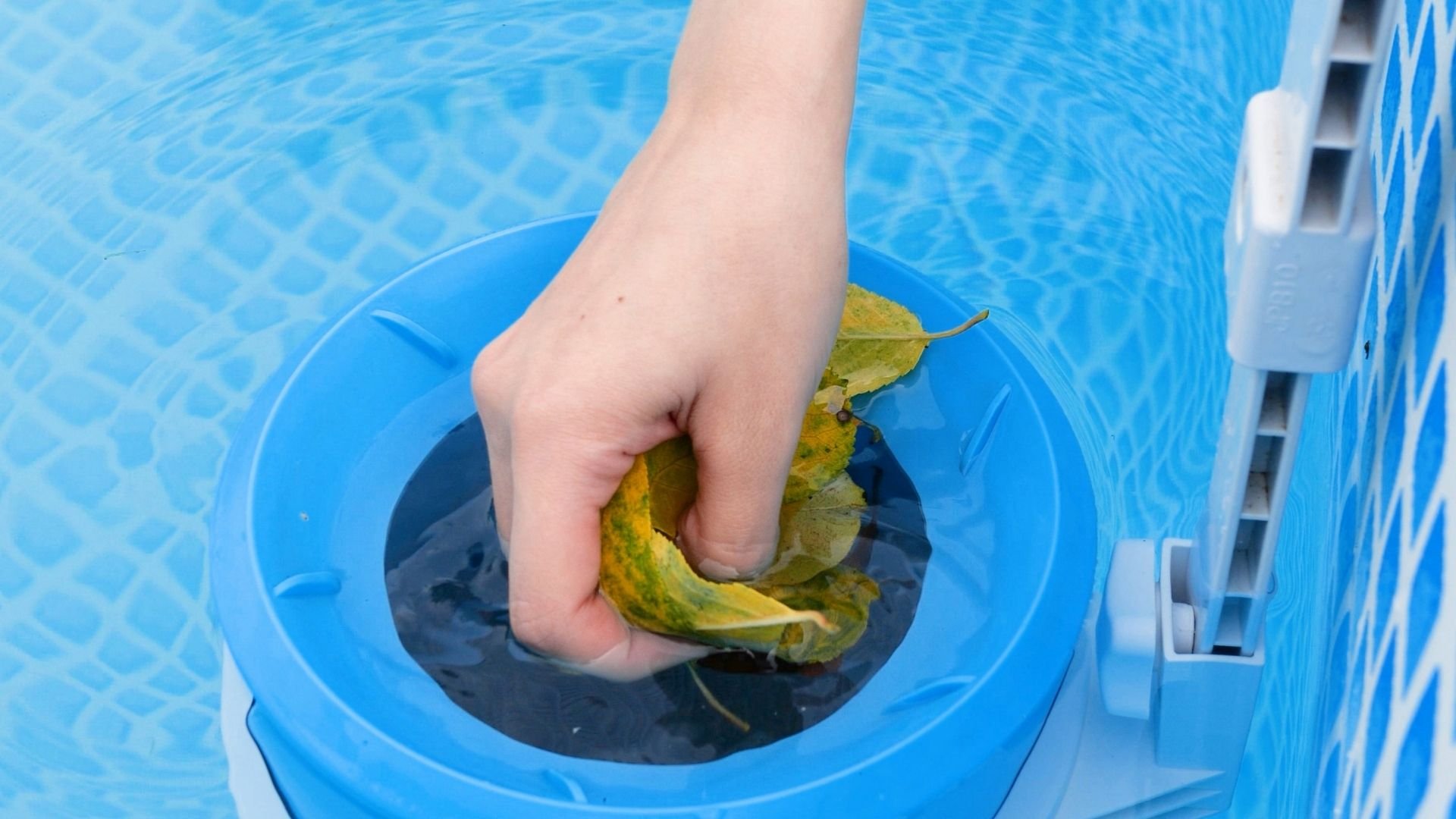 Hand holding fallen leaves in pool skimmer basket during maintenance