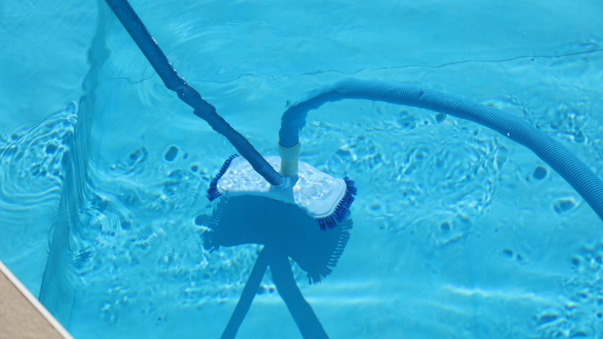 Underwater pool vacuum cleaner brush attached to hose cleaning pool bottom